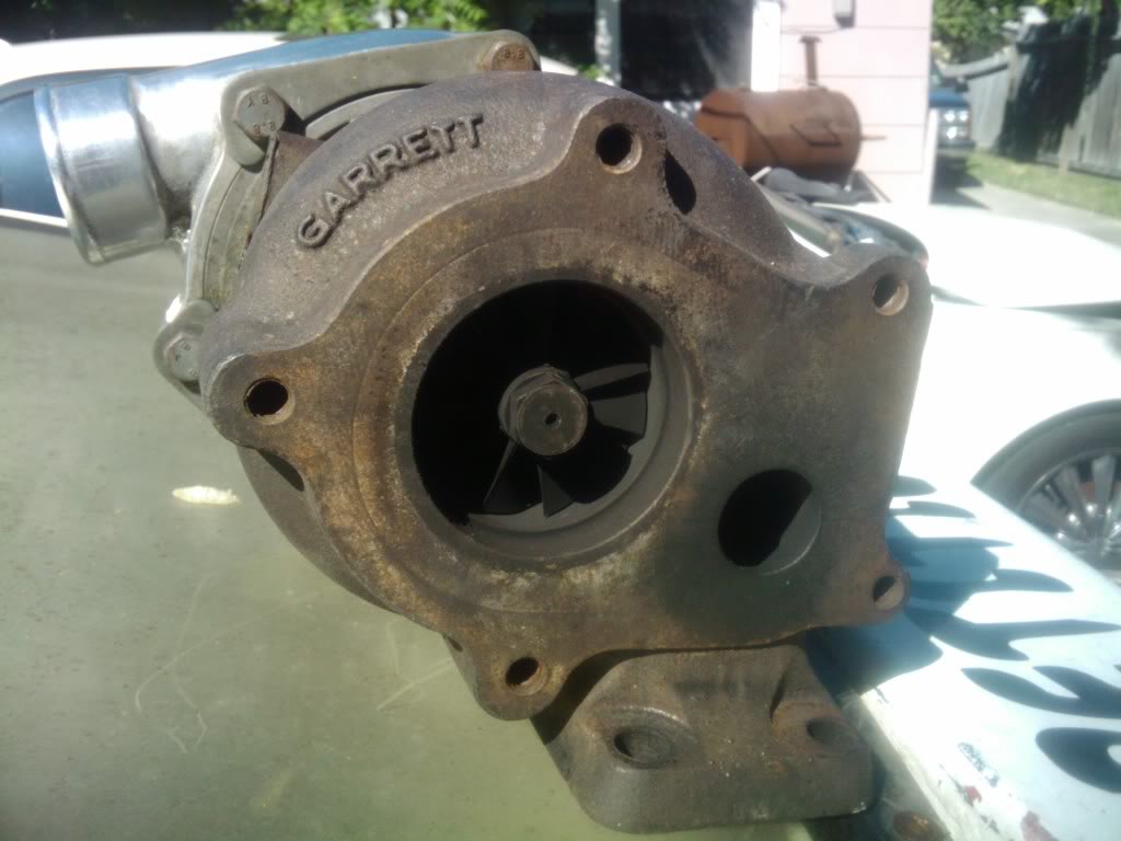 Name:  IMG_20101105_114500.jpg
Views: 345
Size:  77.7 KB