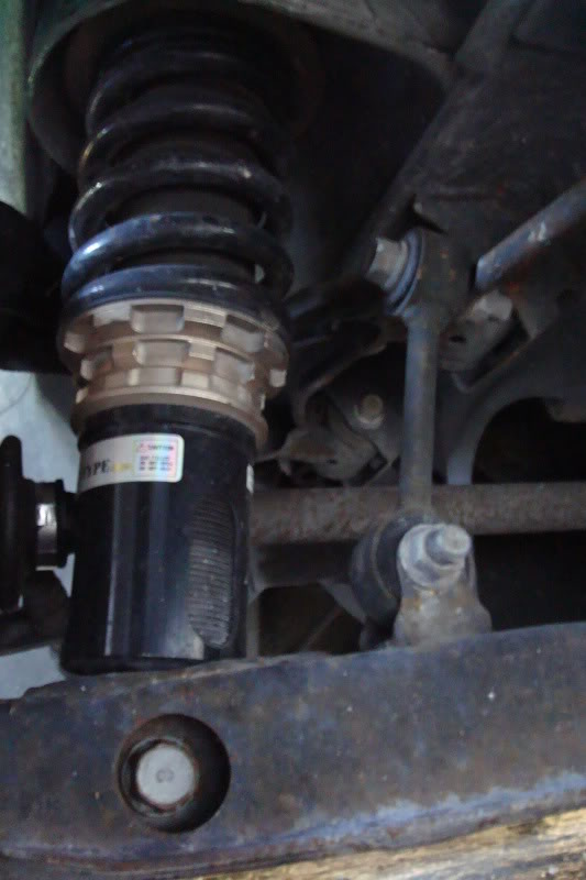 Name:  ZooMiami157.jpg
Views: 79
Size:  57.5 KB