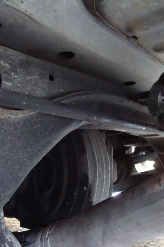 Name:  ZooMiami158.jpg
Views: 102
Size:  63.0 KB