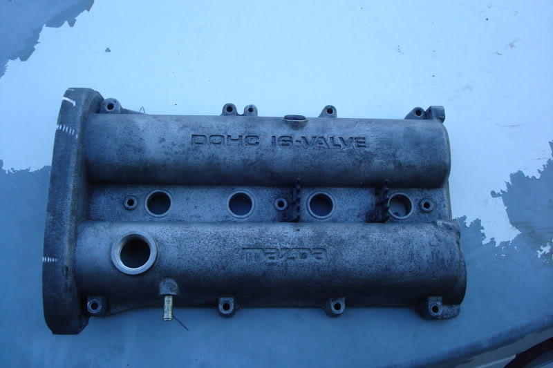 Name:  ZooMiami165.jpg
Views: 124
Size:  60.3 KB