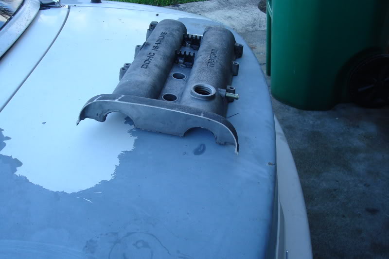 Name:  ZooMiami166.jpg
Views: 169
Size:  52.9 KB