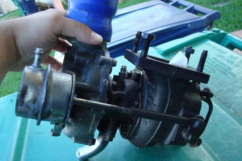 Name:  ZooMiami162.jpg
Views: 87
Size:  79.3 KB