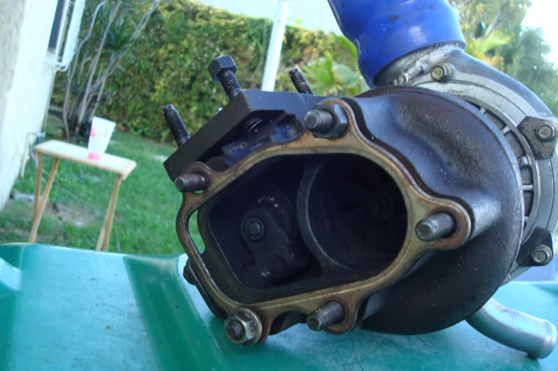 Name:  ZooMiami161.jpg
Views: 83
Size:  76.2 KB