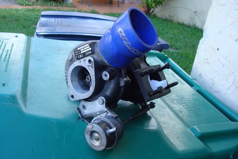 Name:  ZooMiami159.jpg
Views: 176
Size:  75.7 KB