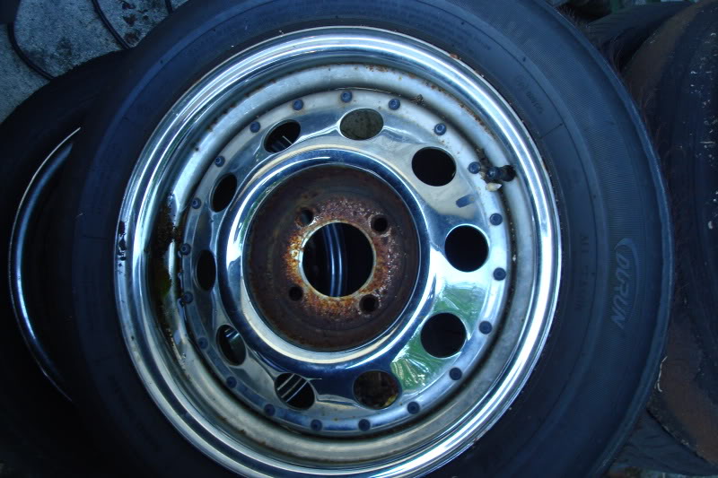 Name:  ZooMiami174.jpg
Views: 169
Size:  94.8 KB