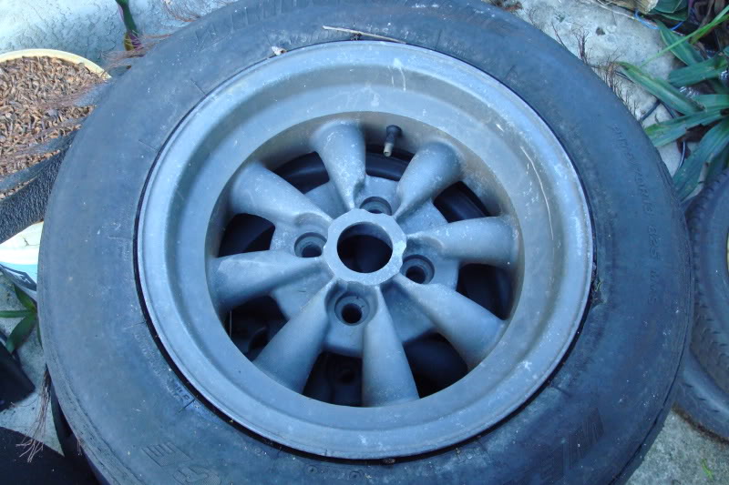 Name:  ZooMiami175.jpg
Views: 98
Size:  92.9 KB