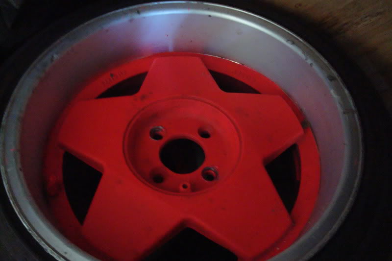 Name:  ZooMiami172.jpg
Views: 78
Size:  45.4 KB