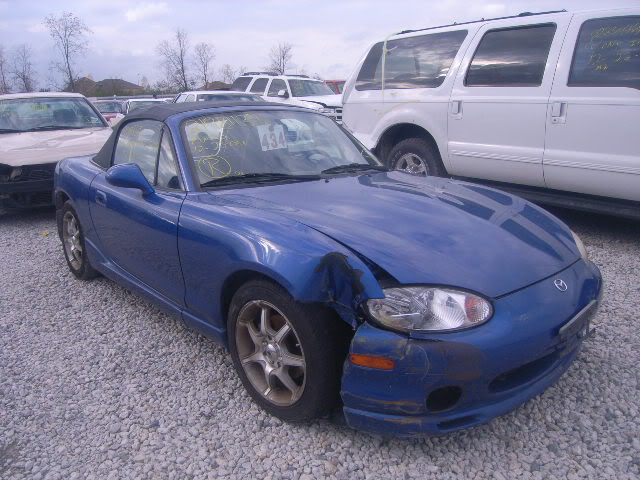 Name:  21981139_1X.jpg
Views: 97
Size:  68.1 KB