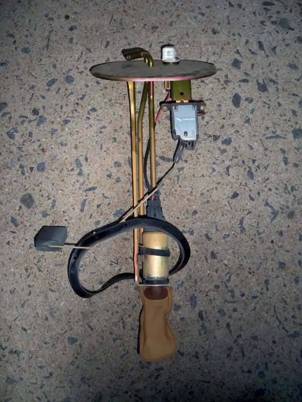 Name:  100_0165.jpg
Views: 70
Size:  139.1 KB