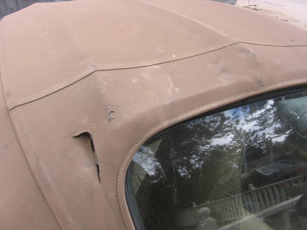 Name:  IMG_2184.jpg
Views: 56
Size:  149.1 KB