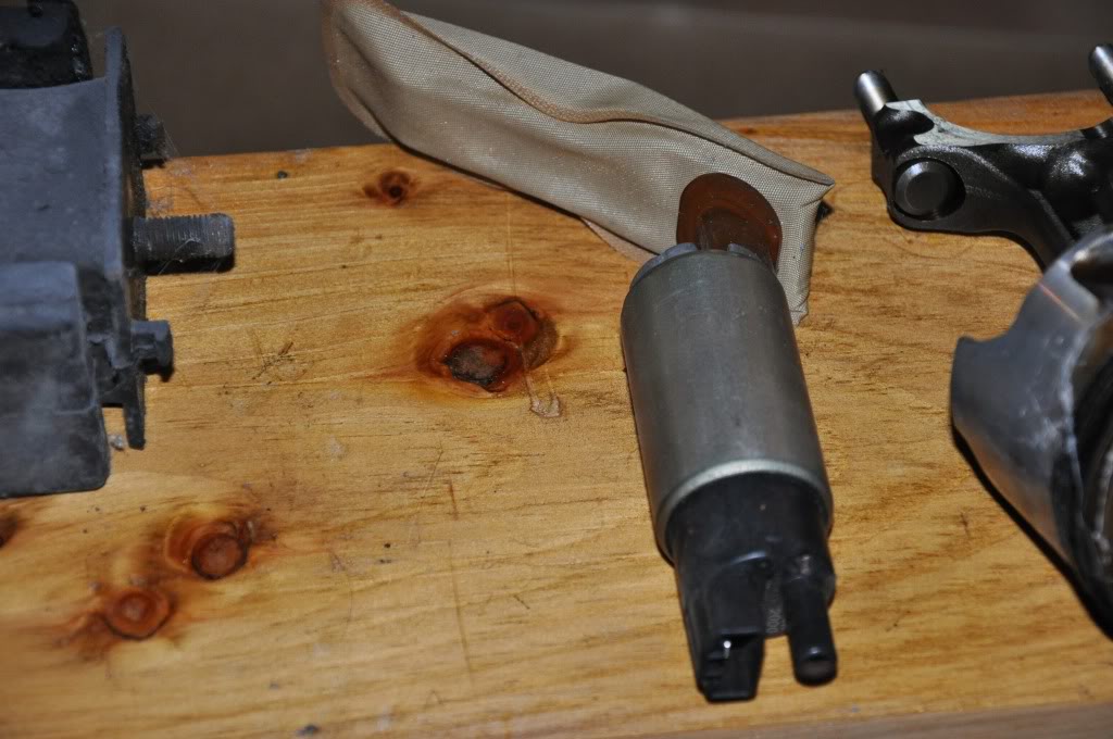 Name:  DSC_0049.jpg
Views: 46
Size:  98.1 KB