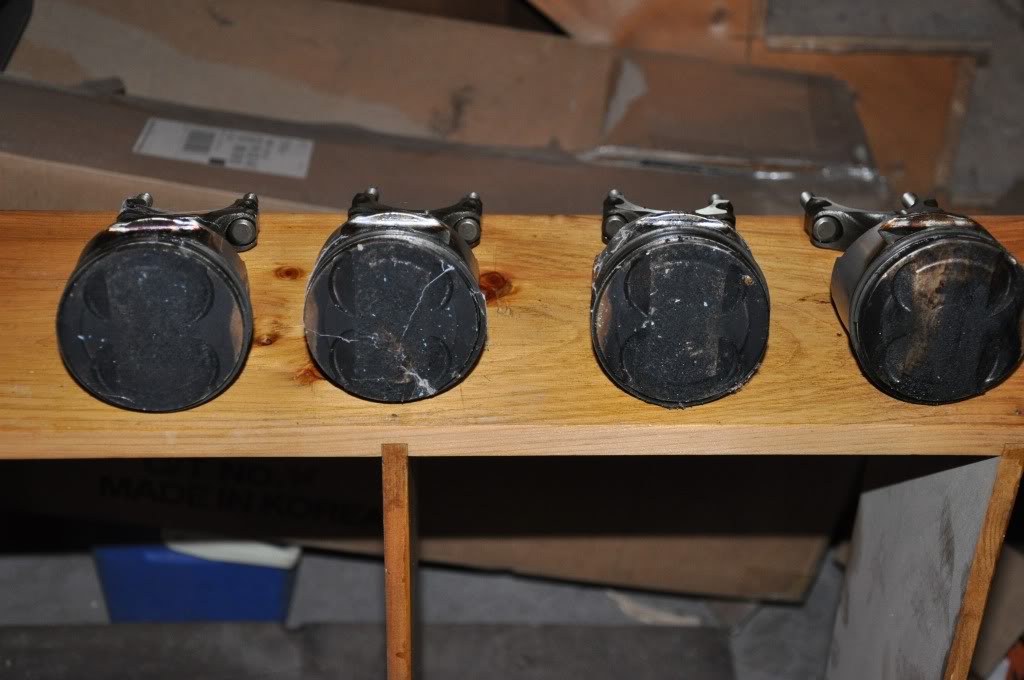 Name:  DSC_0044.jpg
Views: 62
Size:  81.1 KB