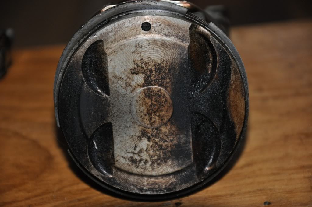 Name:  DSC_0046.jpg
Views: 49
Size:  100.8 KB