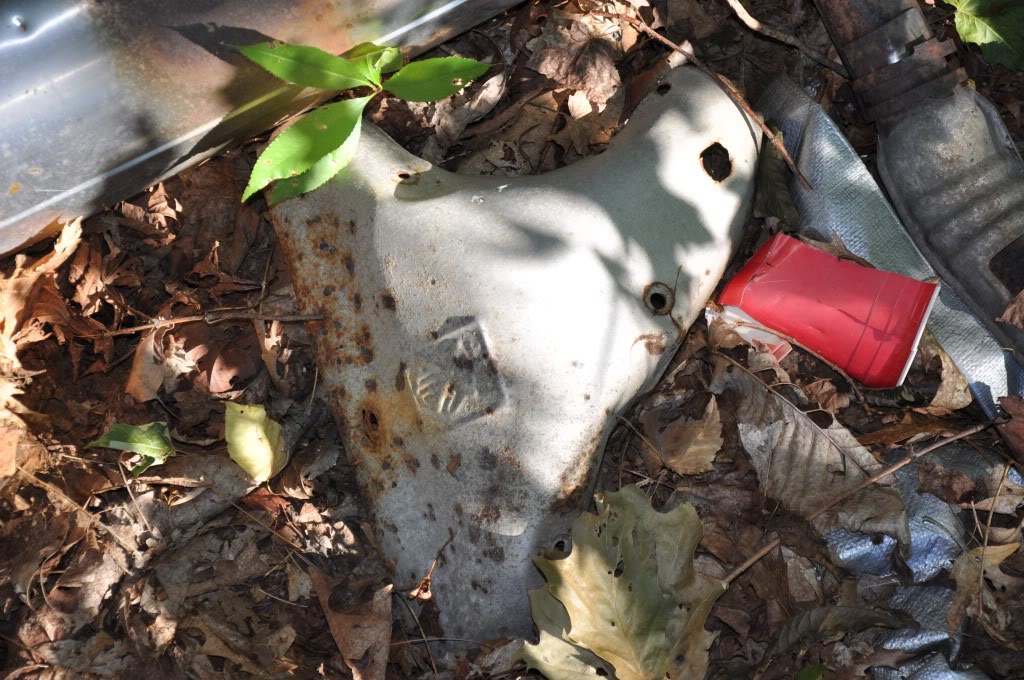 Name:  DSC_0039.jpg
Views: 45
Size:  171.7 KB