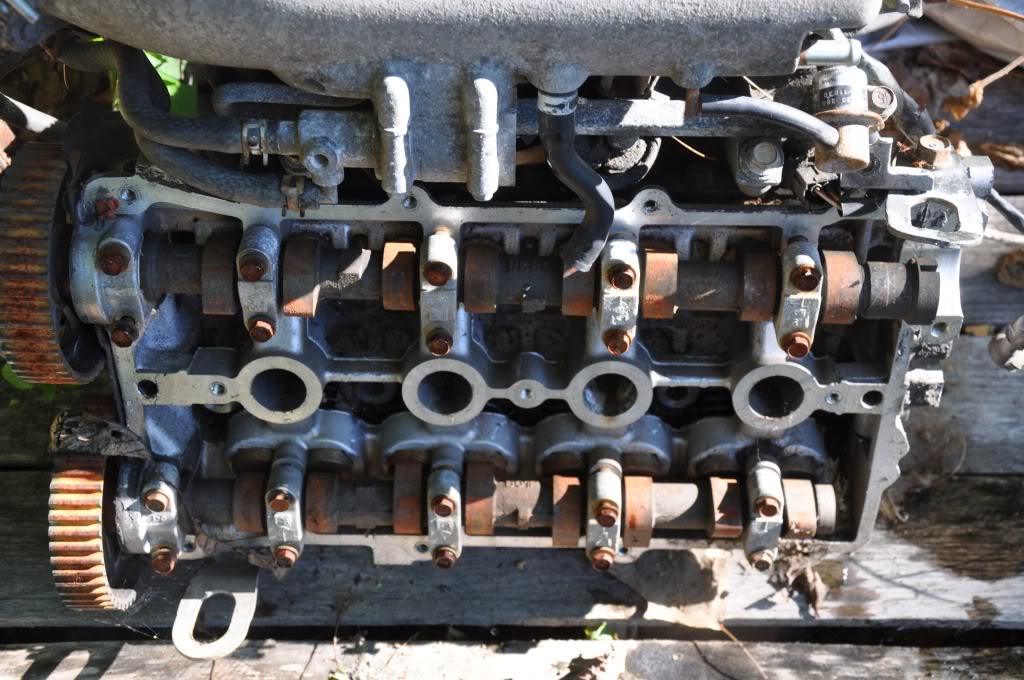 Name:  DSC_0041.jpg
Views: 49
Size:  143.7 KB