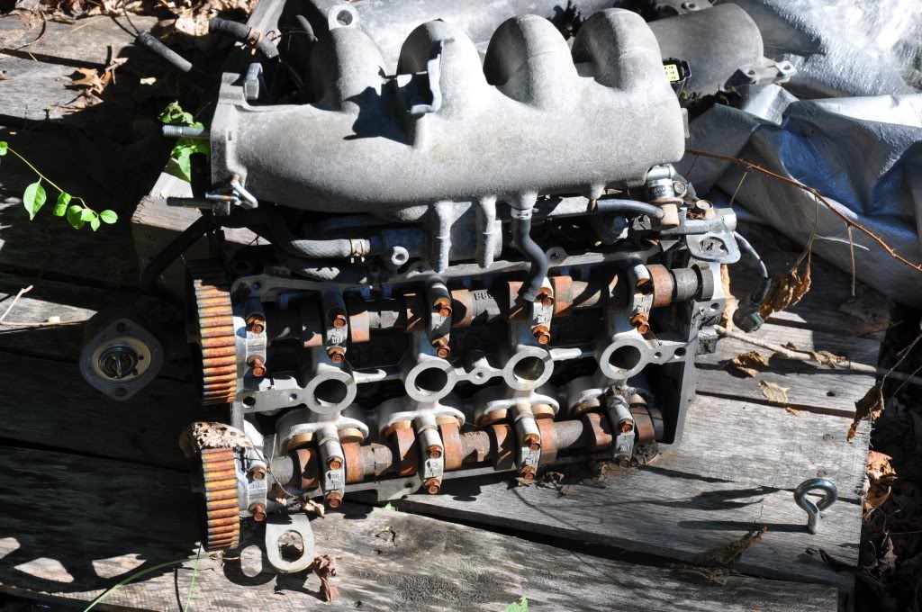 Name:  DSC_0019.jpg
Views: 53
Size:  180.1 KB