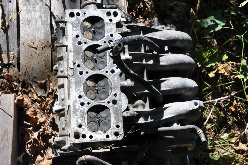 Name:  DSC_0020.jpg
Views: 51
Size:  185.8 KB