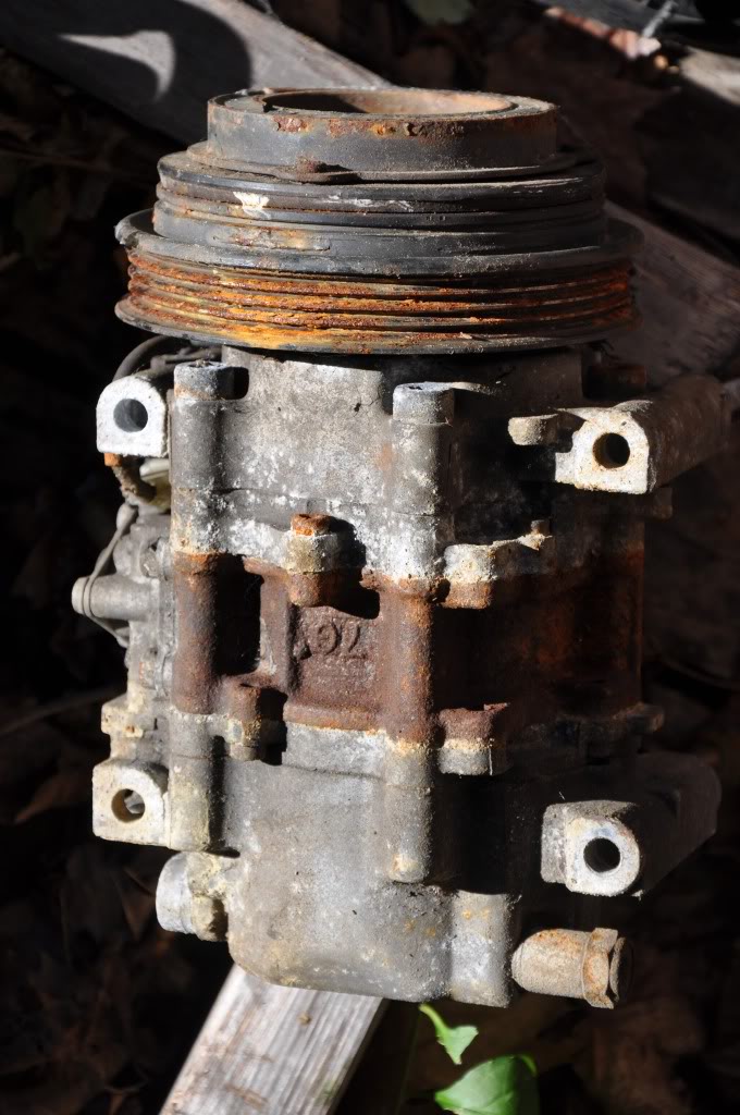 Name:  DSC_0025.jpg
Views: 60
Size:  125.3 KB