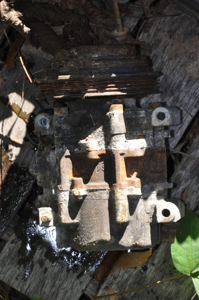 Name:  DSC_0026.jpg
Views: 42
Size:  148.9 KB