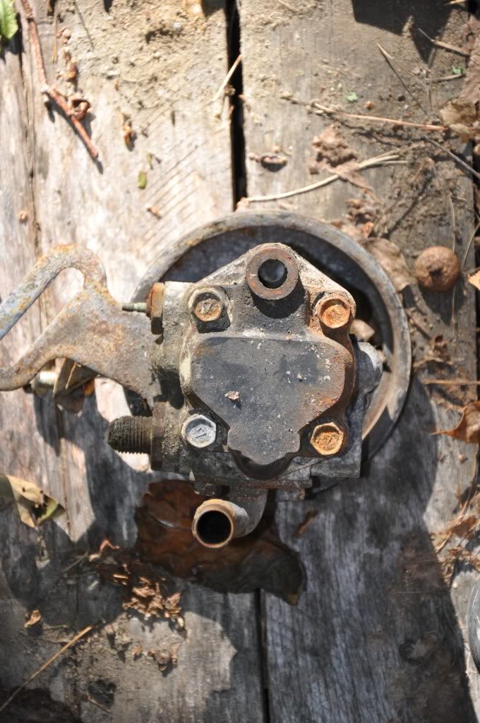 Name:  DSC_0030.jpg
Views: 43
Size:  147.7 KB