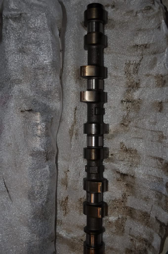 Name:  DSC_0423.jpg
Views: 35
Size:  197.0 KB