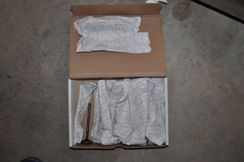 Name:  DSC_0420.jpg
Views: 37
Size:  97.4 KB