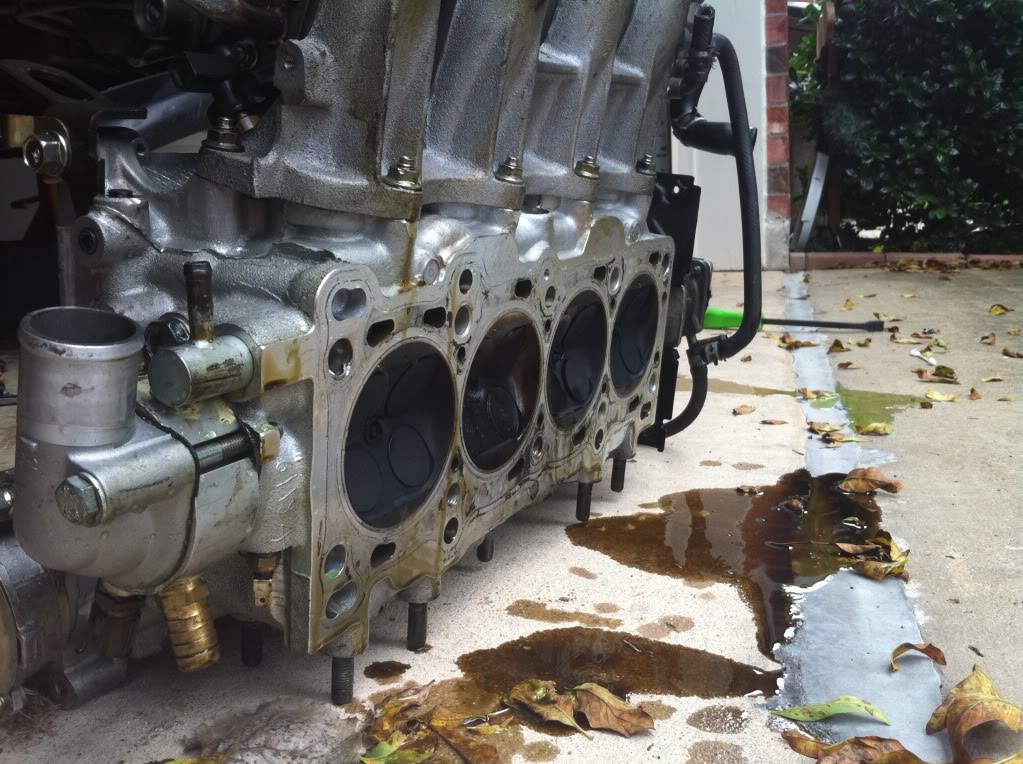 Name:  25dcedae.jpg
Views: 72
Size:  177.2 KB