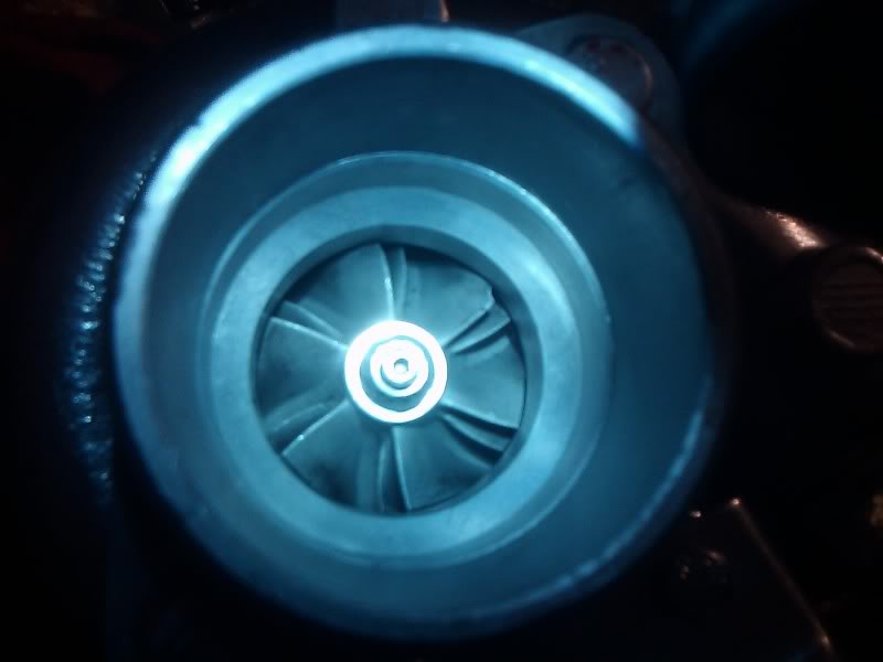 Name:  IMAG0269.jpg
Views: 35
Size:  30.7 KB