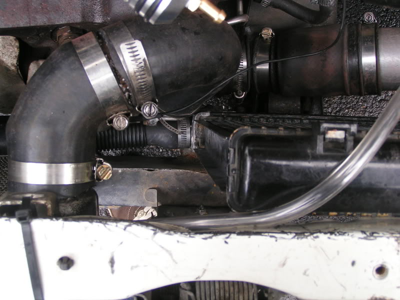 Name:  festivapaint006.jpg
Views: 300
Size:  73.6 KB