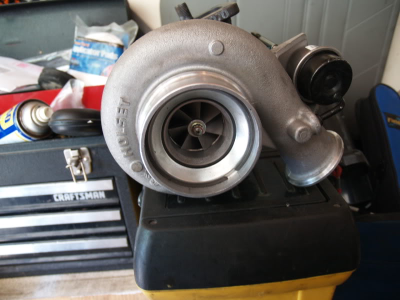 Name:  P5163822.jpg
Views: 275
Size:  83.6 KB