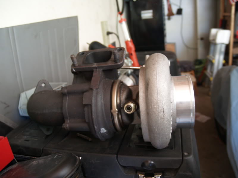 Name:  P5163823.jpg
Views: 265
Size:  68.9 KB