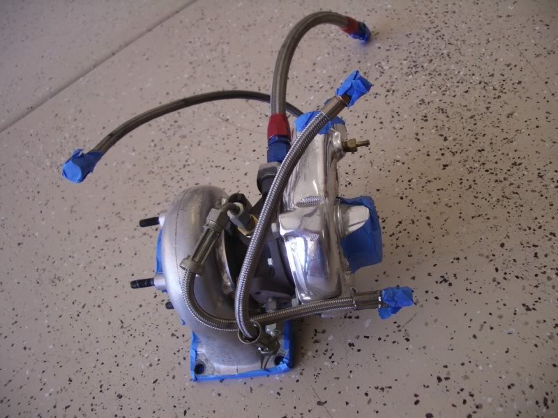 Name:  IMGP5549.jpg
Views: 89
Size:  116.3 KB