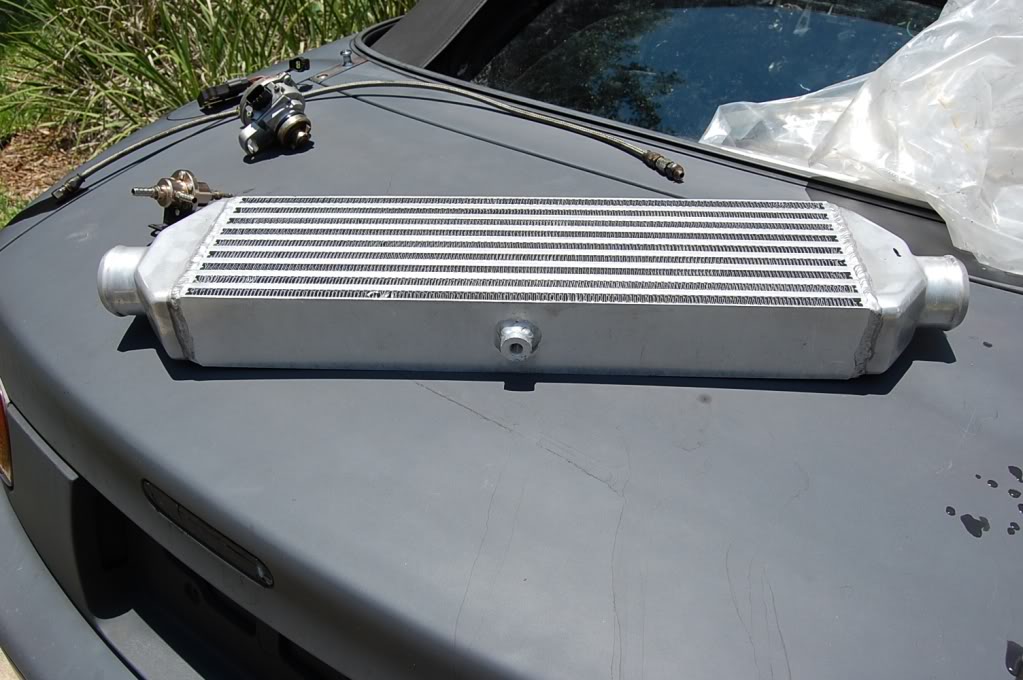 Name:  DSC_0158.jpg
Views: 110
Size:  109.0 KB