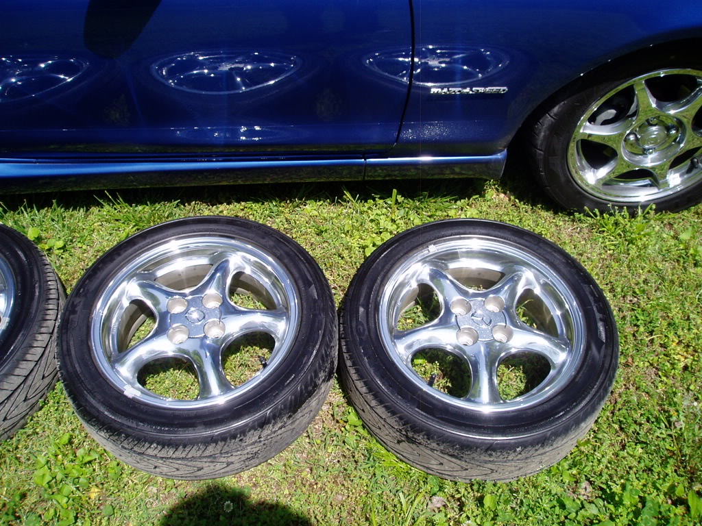 Name:  P1010041.jpg
Views: 900
Size:  224.1 KB