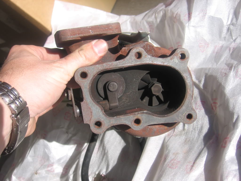 Name:  IMG_2069.jpg
Views: 41
Size:  126.5 KB