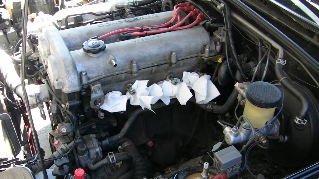 Name:  IMG_2320.jpg
Views: 241
Size:  143.5 KB