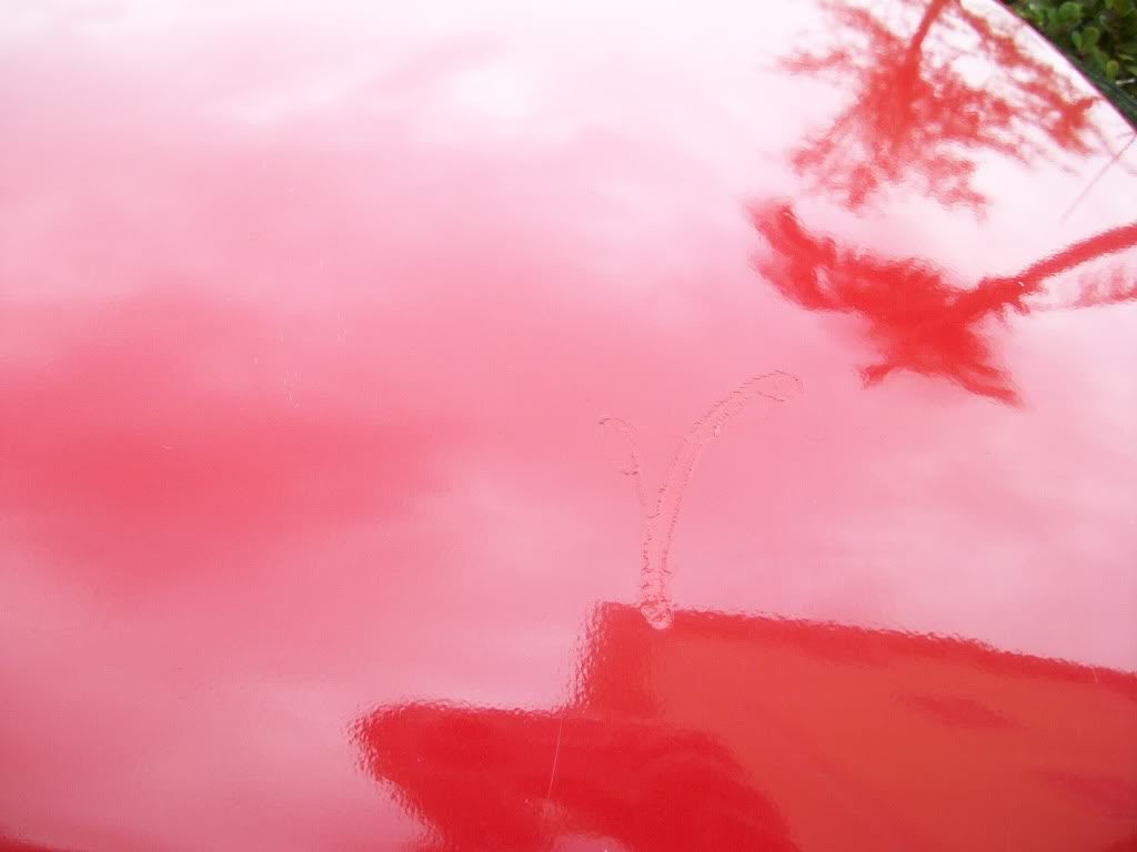 Name:  100_2066.jpg
Views: 60
Size:  78.0 KB