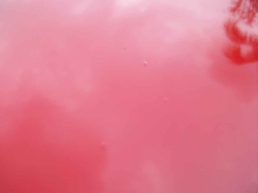 Name:  100_2065.jpg
Views: 43
Size:  52.4 KB