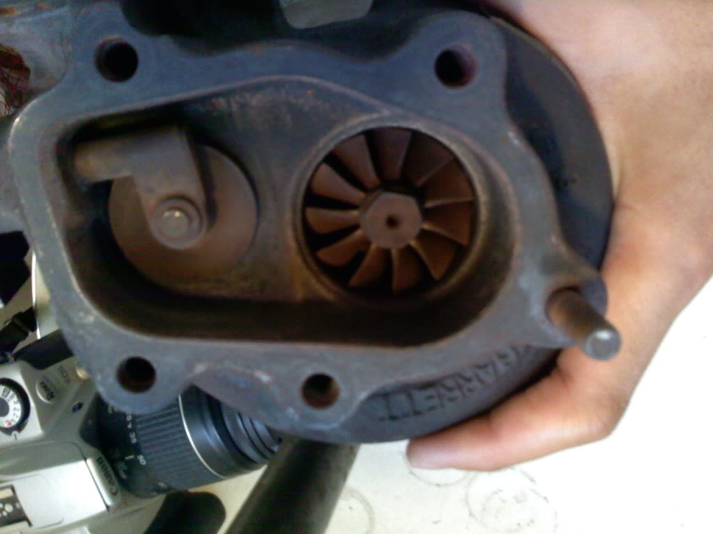 Name:  0223001632a.jpg
Views: 129
Size:  80.0 KB