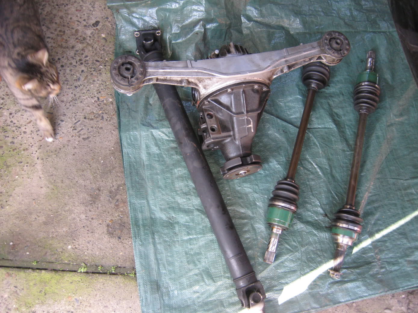 Name:  IMG_1981.jpg
Views: 55
Size:  304.7 KB