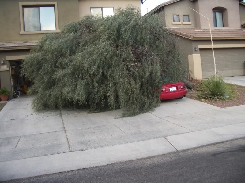 Name:  IMGP5448.jpg
Views: 42
Size:  114.5 KB