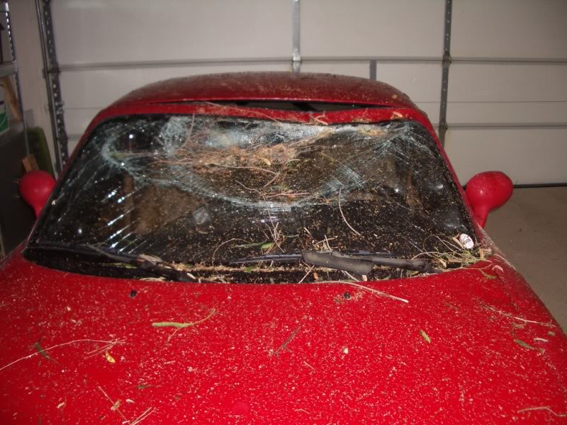 Name:  IMGP5449.jpg
Views: 39
Size:  147.1 KB