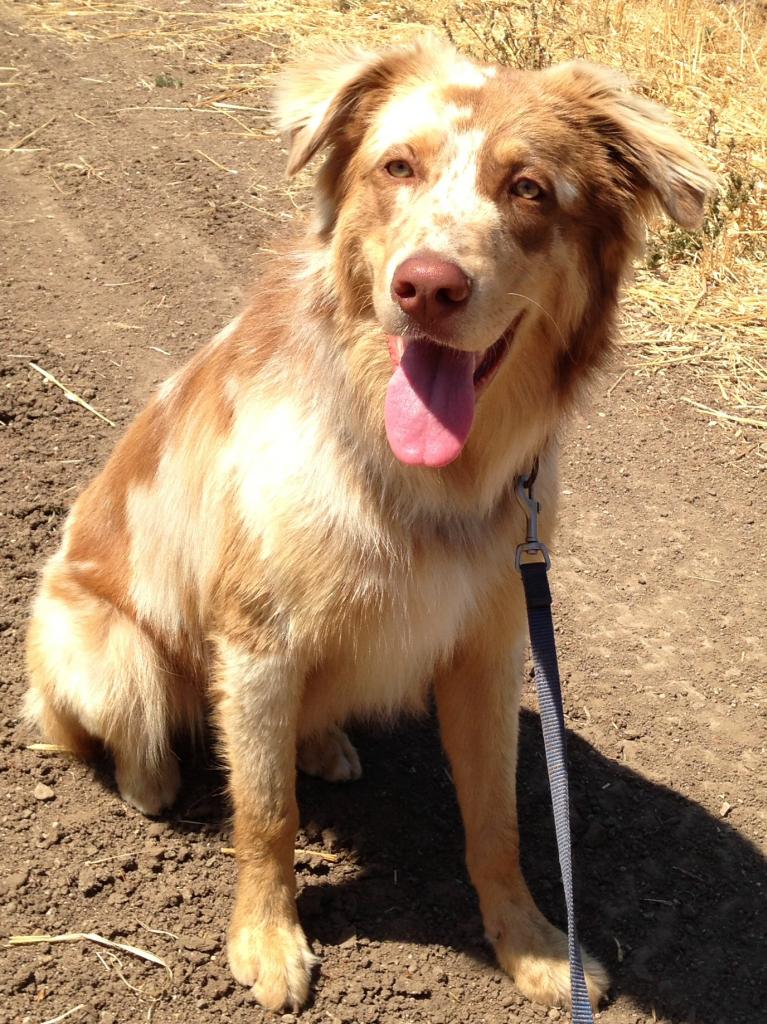 Name:  photo-2.jpg
Views: 64
Size:  170.3 KB