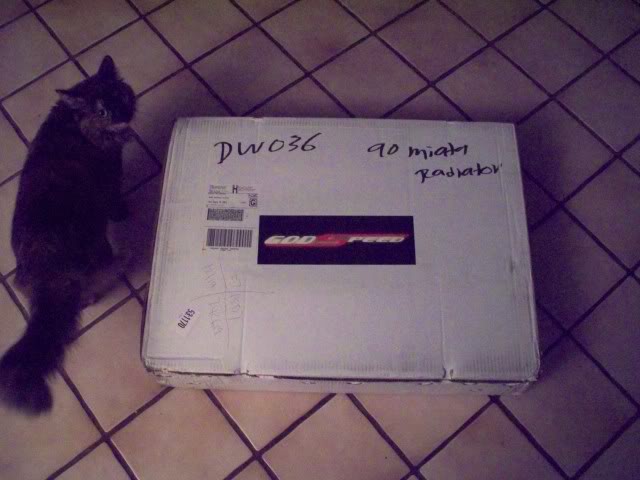 Name:  100_0785.jpg
Views: 66
Size:  52.8 KB