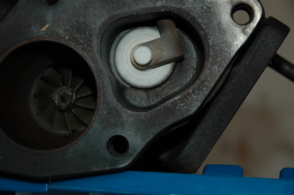 Name:  DSC_5831.jpg
Views: 52
Size:  89.0 KB