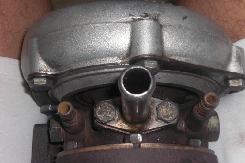 Name:  CIMG1453.jpg
Views: 333
Size:  60.0 KB