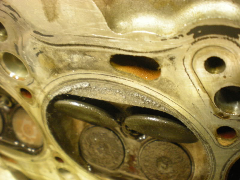 Name:  DSCN1806.jpg
Views: 93
Size:  107.7 KB