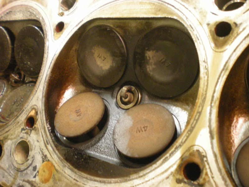 Name:  DSCN1808.jpg
Views: 106
Size:  116.6 KB