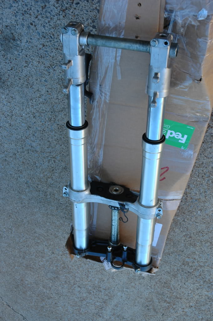 Name:  DSC_5849.jpg
Views: 57
Size:  173.8 KB