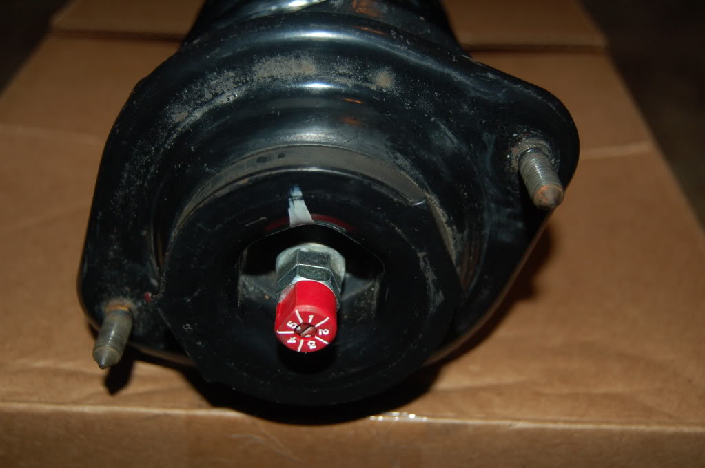 Name:  DSC_0035.jpg
Views: 64
Size:  88.5 KB